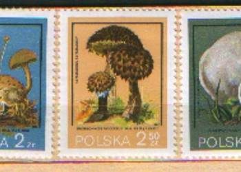 Zn. Fi 2445 *, 8, 50** 1980 Zn. Fi 2445 *, 8, 50** 1980