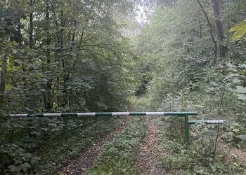 Wydzierżawię działkę rolną 3,7ha