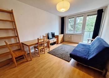 Wynajmę 2 pokojowe mieszkanie Saska Kępa ciche bezpośrednio