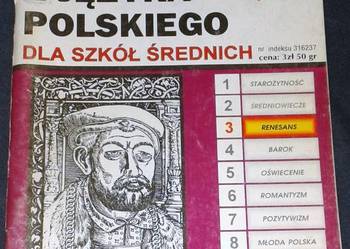 Ściąga z języka polskiego dla szkół średnich. Renesans - Teresa Bojczewska