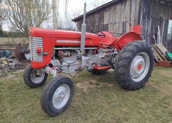 M. F. Ferguson. Pali, jeździ