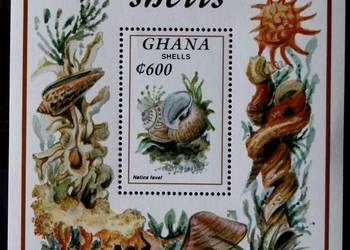 Ghana -blok