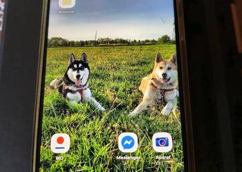 Smartfon Motorola G54 5g 12/256