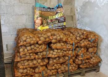 Ziemniaki VINETA od Producenta ! ! ! Prosto z pola ! ! !
