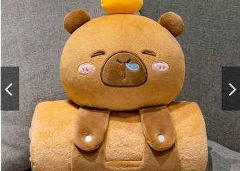 KOc z Poduszką Kapibara