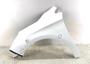 BŁOTNIK LEWY PRZÓD CITROEN C4 II Hatchback LAKIER BIAŁY BANQUISE