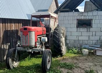 Massey Ferguson 65