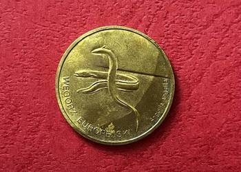 Węgorz Eu rzadka moneta