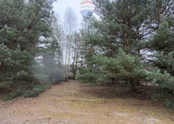 Michałów - urokliwa działka budowlana 5500 m2