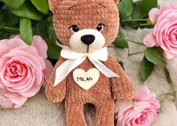 Miś pluszowy personalizowany 24cm wersja X