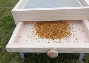 Dennica z poławiaczem pyłku