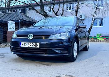Volkswagen Golf VII Lift 1.0 TSI Alufelgi Klima Tempomat Podgrzewane fotele