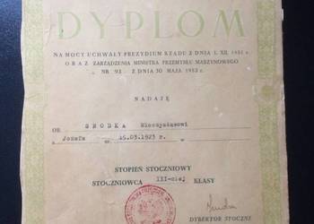 ( 311. ) Dyplom Nadania Stopnia Stoczniowca III Klasy ( 311. ) Dyplom Nadania Stopnia Stoczniowca III Klasy