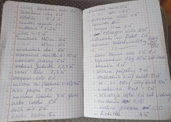 Sprzedam sadzonki truskawek, kwiatów ogrodowych
