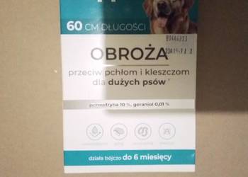 Obroża przeciw pchłom i kleszczom dla dużych psów.