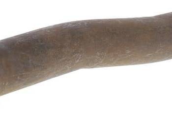 Sworzeń zawiasu 5070040KR