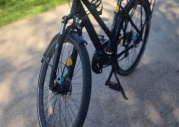 Rower damski pegasus