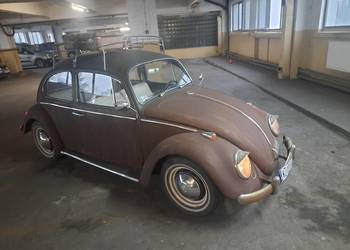 1965 Volkswagen kafer garbus dodge gmc chevrolet buick oldsmobile