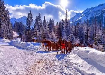 KULIG Z BIESIADĄ W KARCZMIE - Wyjazd z Nowego Sącza !