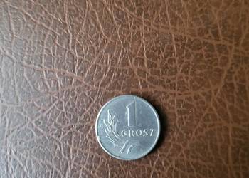 Moneta obiegowa PRL 1 grosz