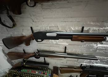 Strzelba Golden Eagle Asg m 870 real wood 6mm