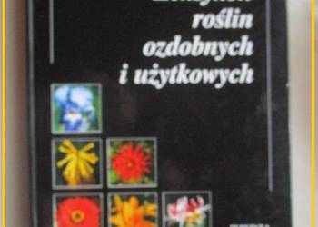 Leksykon roślin ozdobnych i użytkowych / leksykon / rośliny / ogród Leksykon roślin ozdobnych i użytkowych / leksykon / rośliny / ogród