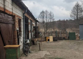 Sprzedam działki rolno-budowlane z budynkami w Suchostrudze k. Tarczyna