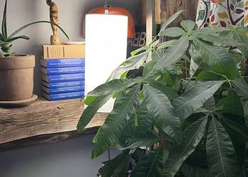 Lampa podłogowa LED