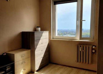 ielony azyl w Gdańsku – widok na las