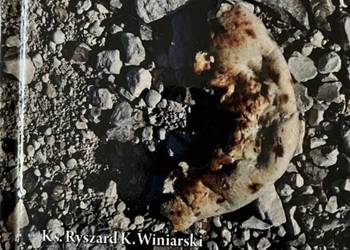 Książka "Cokolwiek spodoba się Panu... 5"