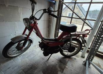 Suzuki eko zarejestrowany Suzuki eko zarejestrowany