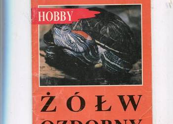 Żółw ozdobny Hobby - Kisiel
