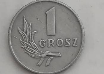 Moneta 1 grosz 1949 - destruk