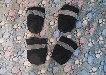 Buty dla psa do 9kg 3XL + kocyk polarowy w łapki