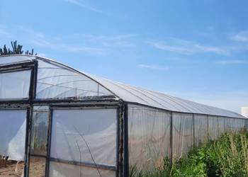 Tunele foliowe 7x30