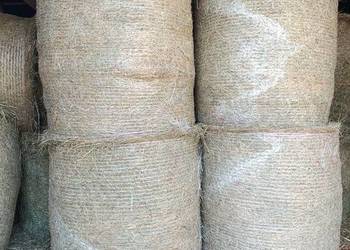 Sprzedam siano w belach 120/120