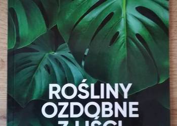 NOWA Rośliny ozdobne z liści 
Michał Mazik