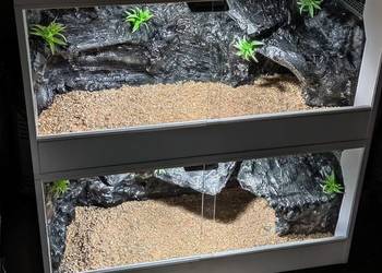 Terrarium od Egzo Systems dla gekona lamparciego agamy brodatej