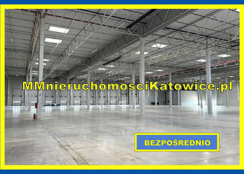 Hale do wynajęcia Dąbrowa Górnicza przy S1 Klasa A różne pow. - BEZ PROWIZ…