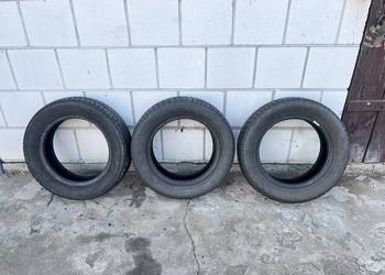 Opony Dębica Passio 175/65R14