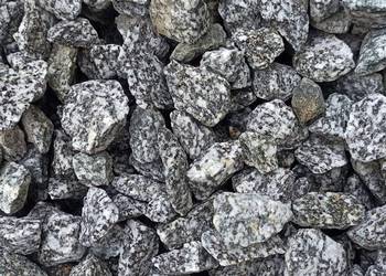 Grys Granitowy Dalmatian szary Kamień ozdobny ogrodowy Kora Marianna Bazalt