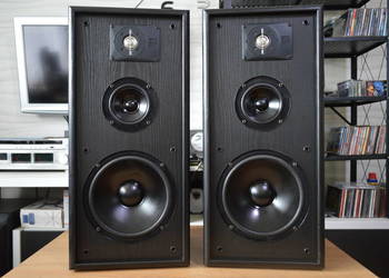 Unikalne JBL TLX-510 Dynamika i Niski Bas, Godne Polecenia Wysyłka