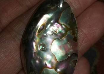 wisiorek muszla paua abalone srebro 925