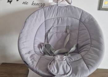 Bujaczek Lionello Bella