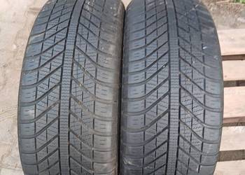 Opony wielosezonowe 205/50/17 Goodyear