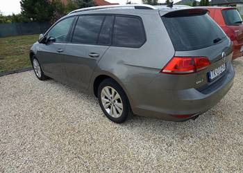 Volkswagen Golf VII bluemotion 2014r serwisowany