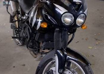 Triumph Tiger 955i