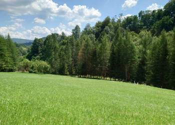 Działka BUDOWLANA 30 ary Bieszczady, Bóbrka, k. SOLINA