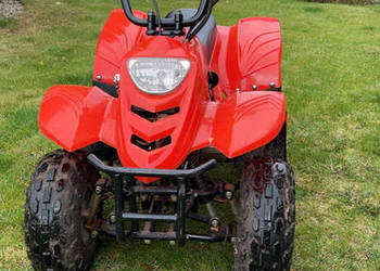 Quad 110 automat