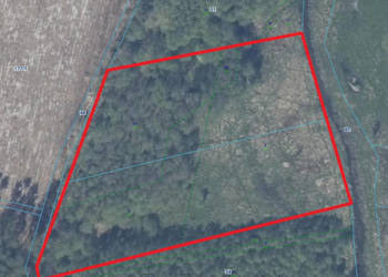1,2 ha 50tys Nowogard, Osina, nad rzeką bezpośrednio